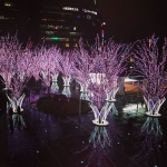 【Instagramより　htm721さん/福岡・博多】 #Spring has come in #Hakatastation☆ #春到来!!! Now, #Hakatastation becomes #pink by #cherrytree #illumination.♡٩(❛∀❛)✧ˈ‧˚ #prettytrip #かわいい旅 Because I #love #pink, I'm very #happy.(*´艸`*)♡ #博多駅 の #さくらイルミネーション #とってもキレイ☆ #大好きなピンク だから #ハッピー な #予感(≧∇≦)ｷｬｰ♪